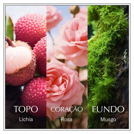 Perfume-Chanson-D'eau-Rose-Feminino-Eau-de-Toilette-100ml--3
